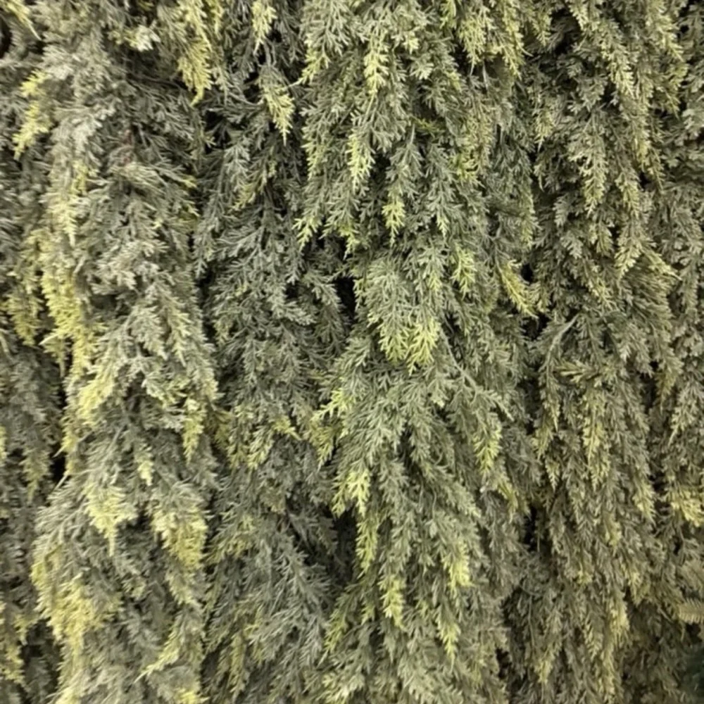 6ft Hobby Lobby Real Touch Cedar Garland